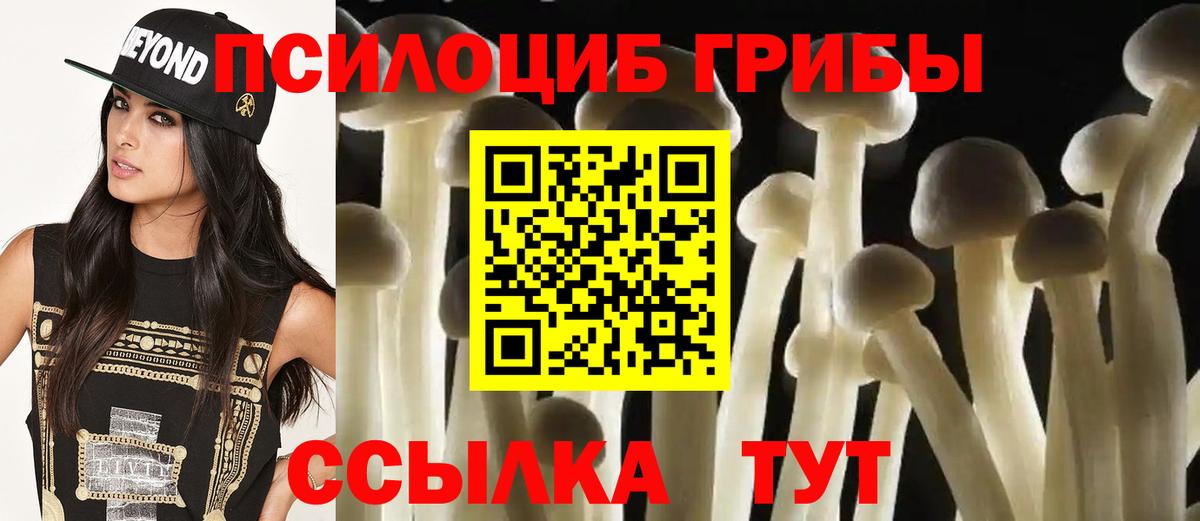 Галлюциногенные грибы мицелий Рузаевка