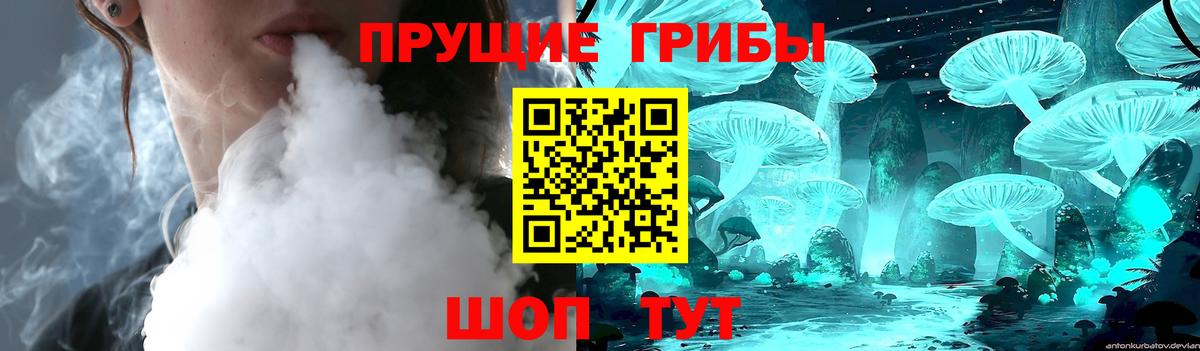 Псилоцибиновые грибы Psilocybine cubensis  Вход с VPN  Рузаевка  купить наркотики цена  Псилоцибиновые грибы GOLDEN TEACHER 